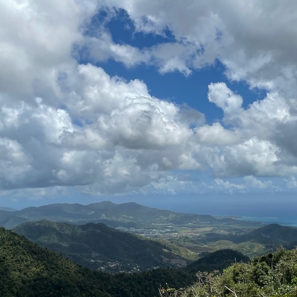 Meet your Posher, Mati - Picture 1 of 1